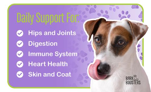 Show full view: Bark Boosters All-In-One Chicken Flavored Chews Multivitamin for Dogs, 60 count slide 9 of 10