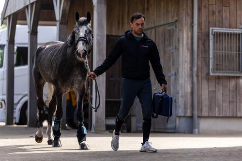 Show full view: HorseLinkTech Compression Ice Cube Therapy Horse Boots slide 6 of 9