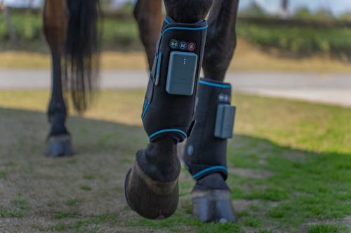 Show full view: HorseLinkTech Compression Ice Cube Therapy Horse Boots slide 4 of 9