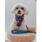 Show in main carousel: Sassy Woof MLB x Peanuts Los Angeles Dodgers Dog Collar, Large: 26-in neck, 1-in wide slide 6 of 6