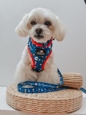Show full view: Sassy Woof MLB x Peanuts Los Angeles Dodgers Dog Collar, Large: 26-in neck, 1-in wide slide 6 of 6