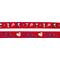 Show in main carousel: Sassy Woof MLB x Peanuts Philadelphia Phillies Dog Leash, 5-ft long, 3/4-in wide slide 4 of 6