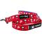 Show in main carousel: Sassy Woof MLB x Peanuts Philadelphia Phillies Dog Leash, 5-ft long, 3/4-in wide slide 1 of 6