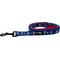 Show in main carousel: Sassy Woof MLB x Peanuts New York Yankees Dog Leash, 5-ft long, 3/4-in wide slide 2 of 5