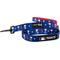 Show in main carousel: Sassy Woof MLB x Peanuts Boston Red Sox Dog Leash, 5-ft long, 3/4-in wide slide 1 of 5