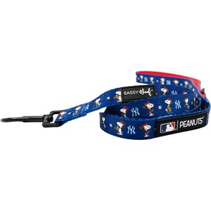 Sassy Woof MLB x Peanuts New York Yankees Dog Leash, 5-ft long, 3/4-in wide
