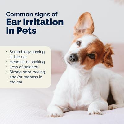 Show full view: Vetnique Labs Octibliss Dog & Cat Dirt & Wax Removal Cleaning Ear Flush, 8-fl oz bottle slide 6 of 11