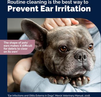 Show full view: Vetnique Labs Octibliss Dog & Cat Dirt & Wax Removal Cleaning Ear Flush, 8-fl oz bottle slide 7 of 11