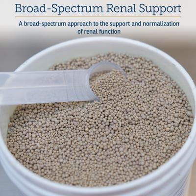 Show full view: Rx Vitamins Rx Renal Beadlets Kidney Supplement for Cats, 100-g jar slide 7 of 10