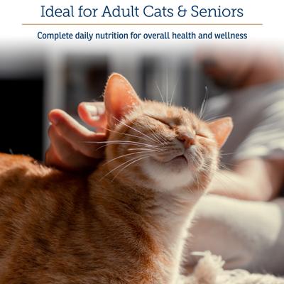 Show full view: Rx Vitamins Rx Essentials Powder Multivitamin for Cats, 4-oz bottle slide 7 of 10