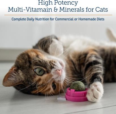 RX VITAMINS Rx Essentials Powder Multivitamin for Cats, 4-oz bottle ...