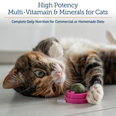 Show full view: Rx Vitamins Rx Essentials Powder Multivitamin for Cats, 4-oz bottle slide 4 of 10