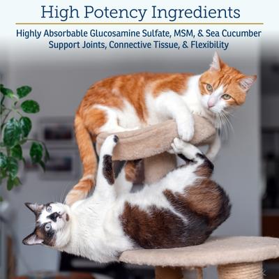 Show full view: Rx Vitamins MegaFlex Powder Joint Supplement for Cats & Dogs, 600-g jar slide 6 of 10