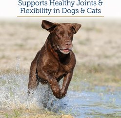 Rx Vitamins MegaFlex Capsules Joint Supplement for Cats & Dogs, 600 count slide 2 of 8