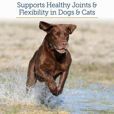 Show full view: Rx Vitamins MegaFlex Powder Joint Supplement for Cats & Dogs, 600-g jar slide 4 of 10