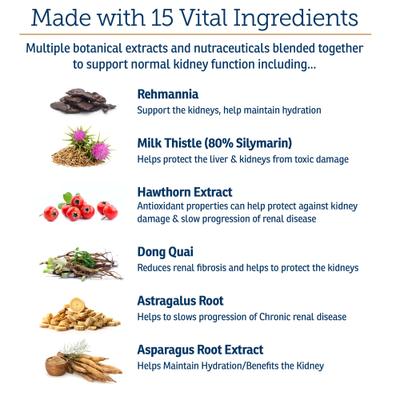 Show full view: Rx Vitamins Rx Renal Beadlets Kidney Supplement for Cats, 100-g jar slide 6 of 10