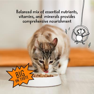 Show full view: Tiny Tiger Shreds with Chicken in Gravy Canned Cat Food, 5.5-oz can, case of 24 slide 7 of 11