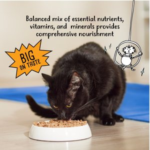 Tiny Tiger Classic Pate Variety Pack Canned Cat Food, 5.5-oz can, case of 12