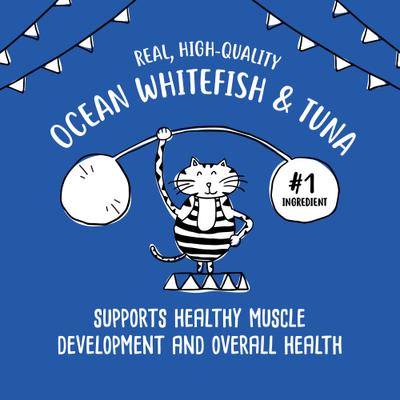 Show full view: Tiny Tiger Pate Ocean Whitefish & Tuna Dinner Canned Cat Food, 5.5-oz can, case of 24 slide 6 of 11