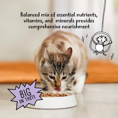 Show full view: Tiny Tiger Shreds Turkey & Cheese Dinner in Gravy Canned Cat Food, 5.5-oz can, case of 24 slide 7 of 11