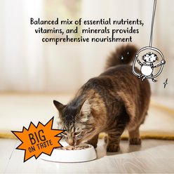 Tiny Tiger Shreds Chicken & Salmon Dinner in Gravy Canned Cat Food, 5.5-oz can, case of 24 slide 2 of 9