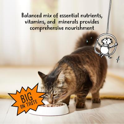 Show full view: Tiny Tiger Shreds Chicken & Salmon Dinner in Gravy Canned Cat Food, 5.5-oz can, case of 24 slide 7 of 11