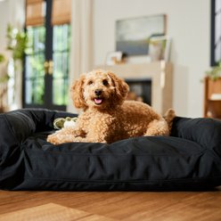 Frisco Orthopedic Durable Couch Dog & Cat Bed, Black, Medium