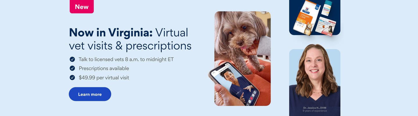 In Virginia? See a vet and get prescriptions online. 