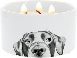 Pavilion Dog Wax Reveal Candle, 10-oz
