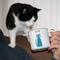Show in main carousel: Pavilion Cat Dad Coffee Mug, 18-oz slide 2 of 3