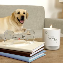 Pavilion Love & a Dog Acrylic Plaque, 5.5-in slide 2 of 3