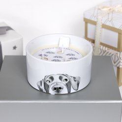 Pavilion Dog Wax Reveal Candle, 10-oz slide 2 of 3