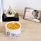 Show in main carousel: Pavilion Cat Wax Reveal Candle, 10-oz slide 2 of 3