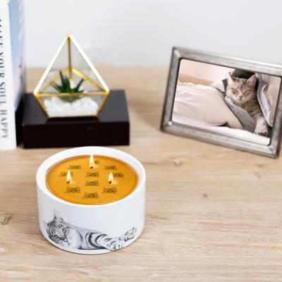 Show full view: Pavilion Cat Wax Reveal Candle, 10-oz slide 2 of 3