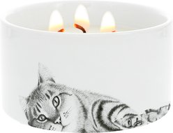Pavilion Cat Wax Reveal Candle, 10-oz