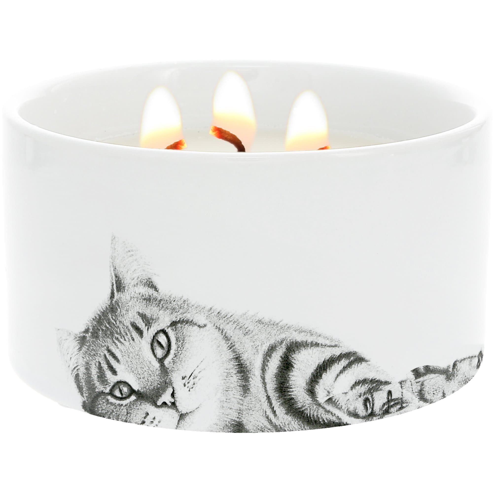 Pavilion Cat Wax Reveal Candle, 10-oz