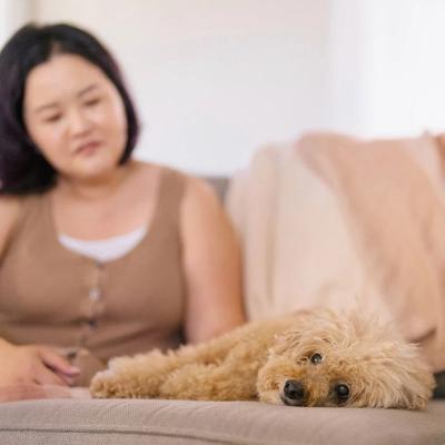 Show full view: Lanana Creek Farms Electrolyte Replenish for Dogs, 500-mL refill slide 4 of 6