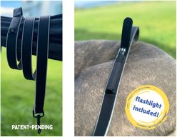 IBK Doggies Flashlight Reflective Nylon Regular Leash Collar Set, Black, Large slide 2 of 8