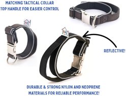 IBK Doggies Flashlight Reflective Nylon Regular Leash Collar Set, Black, Medium slide 2 of 8