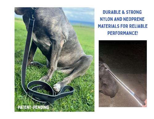 Show full view: IBK Doggies Flashlight Reflective Nylon Regular Leash Collar Set, Black, Large slide 4 of 8