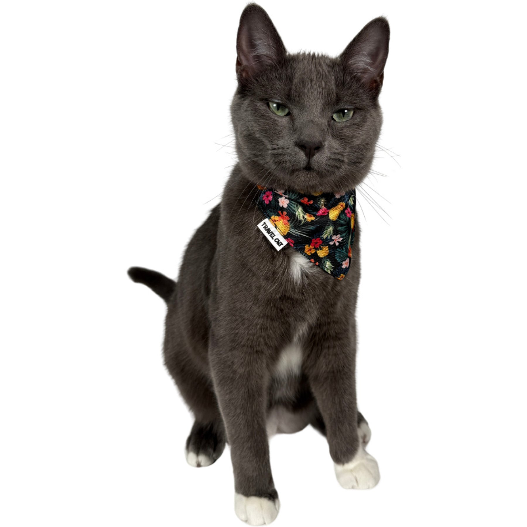 Travel Cat Hawaiian Shirt Style Cat Bandana