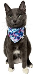 Travel Cat Groovy Style Cat Bandana