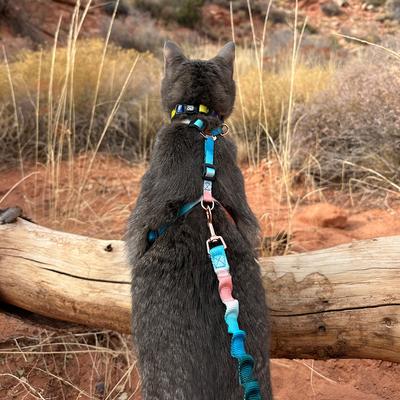 Show full view: Travel Cat The Day Tripper H-Style Adjustable Cat Harness & Leash Set, Watercolors slide 5 of 6