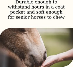 Semican Apple Oat Snak Horse Treats, 2.5-lb bag slide 2 of 3