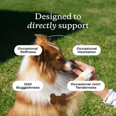 Show full view: PetLabCo. Joint Care Salmon Flavored Soft Chew Joint Supplement for Dogs, 30 count slide 5 of 10