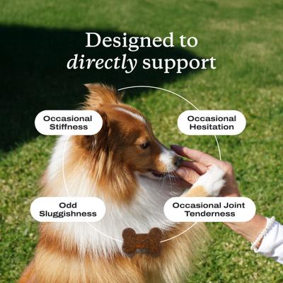 Show full view: PetLab Co. Joint Care Salmon Flavored Soft Chew Joint Supplement for Dogs, 30 count slide 6 of 11