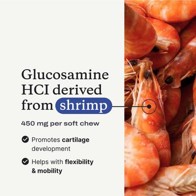 Show full view: PetLabCo. Joint Care Salmon Flavored Soft Chew Joint Supplement for Dogs, 30 count slide 8 of 10