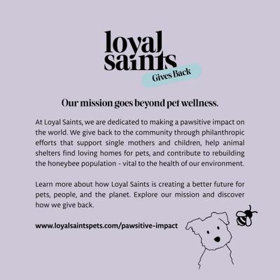 Show full view: Loyal Saints Chicken Grain-Free Adult Freeze-Dried Dog Food, 14-oz bag slide 9 of 9