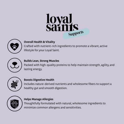 Show full view: Loyal Saints Chicken Grain-Free Adult Freeze-Dried Dog Food, 14-oz bag slide 5 of 9