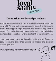 Loyal Saints Chicken Grain-Free Adult Freeze-Dried Dog Food, 5-oz bag slide 2 of 8